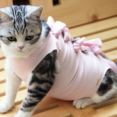 딩동펫 반려동물 중성화 수술복, 핑크, 1개