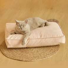 파스텔펫 반려동물 모던 스퀘어 쿠션, 핑크, 1개