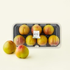 올푸릇 GAP 인증 추희 자두 7개입, 1개, 1kg