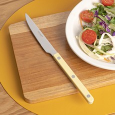 TINNY BLANC Rêve 餐桌主餐刀, 萊姆綠, 1個