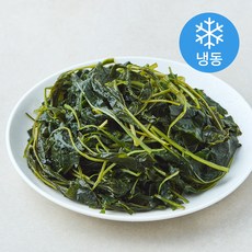 팜조아 국내산 건취나물 (냉동), 1개, 200g