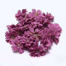 Maket Gamseong 乾燥花裝飾花 70入, 20