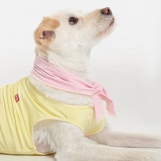 Bodydry BYC 狗狗涼感背心 Plus ODB0002, LM 檸檬, 1個