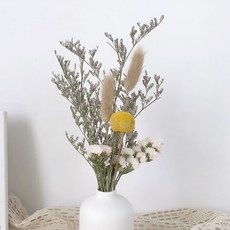 GAPANG 乾燥花 DRYD001 14號, 混合顏色