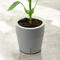 Domaetopia Water Window 自動給水花盆, 灰色, 1個