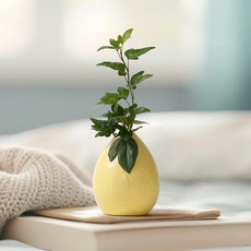 morningscent 과일 세라믹 수경화병, 레몬