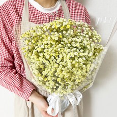 코코도르팜 생화 안개 꽃다발, 레몬