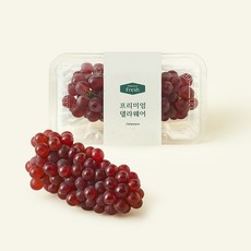 온브릭스 주식회사 농업회사법인 프리미엄 델라웨어 포도, 200g, 1개