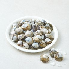 바다림 중국산 생물 모시조개, 1개, 800g