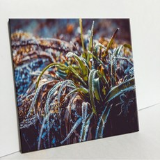 UDP 磁磚畫框 A型 3898113