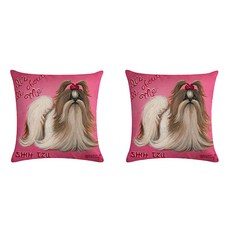 翻肚動物彩繪卡通字母系列抱枕套 2入