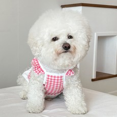 bydamsoomi 寵物格紋洋裝, 粉紅色