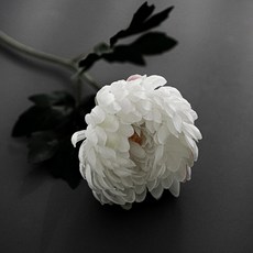 플라우스302 조화 한송이 성묘 국화, 2개, 화이트