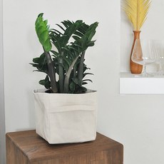 CoTe TaBLe Converse 盒型花盆 47322, 自然色, 1個