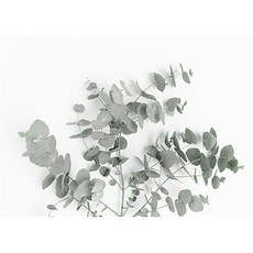 北歐風格布質海報 4號