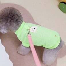 DING DONG PET 寵物微笑標籤T恤, 1個, 綠色