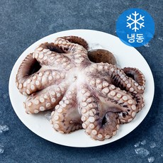 비비수산 깨끗하게 손질한 문어 한마리 (냉동), 1개, 600g