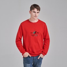 BEVERLY HILLS POLO CLUB 比佛利保羅 斜紋半綠色大學T恤 CPL9T06