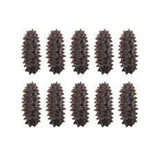 Sense Life店內食物海參模型 10入, 混合顏色