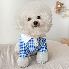 Baidamsumi 寵物格紋熊Polo衫, 藍色