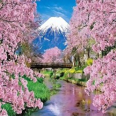 PIPO DIY風景畫繪畫套組 春季主題系列 40 x 50 cm, Q2608, 1個