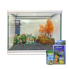 首爾 Aqua Room 熱帶魚魚缸套組 3524, 隨機發貨