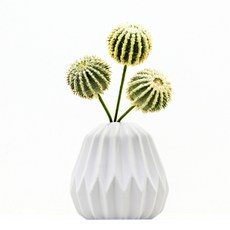 Garden in the City 多肉植物仙人掌灌木, 混色, 1個