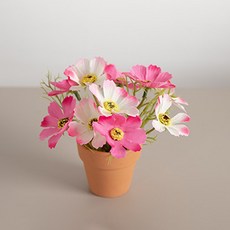 flowertree 基本款人造波斯菊迷你陶盆組 12cm, 粉紅色