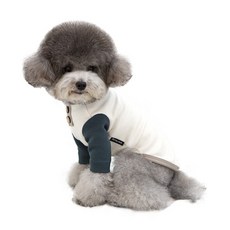 PETSLAND 寵物椰子針織衫, 藍綠色