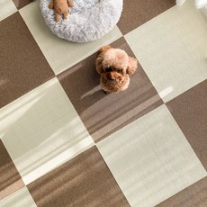 DING DONG PET Block Carpet Brown 3p + Ivory 3p Set, 混色