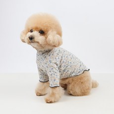 Grooming Dog 寵物花園荷葉邊領T恤, 1個, 海軍藍