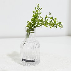 도시정원 스트라이프 유리화병 CT005 0815