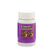 서울퍼피 V 캣 영양제, 구강/치석관리, 40g, 1개