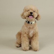 RITOGATO 寵物 Walkie Pet 頸圈, 1個, 黑色