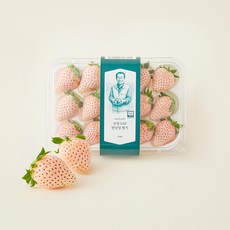 GAP 인증 박동영 농부의 산청 만년설 딸기 12~15입, 350g, 1개
