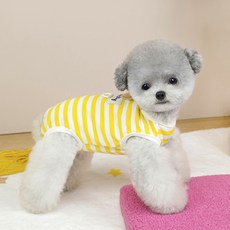 PASTEL PET 寵物幸運熊術後服, 1個, 黃色