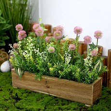 Garden in the City 蒲公英花壇, 粉色的