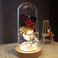 미니꽃다발 장미 유리돔 무드등, 레드