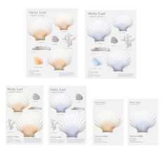 Appree Sticky Leaf 貝殼基本便利貼 藍色3款 + 橘色3款 C套組, 混合色, 1套