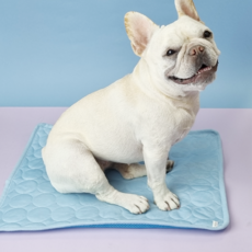 난펫 강아지 인견 쿨매트, 스카이블루, 1개
