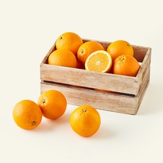 다조은 캘리포니아 네이블 오렌지 중대과, 4kg, 1개