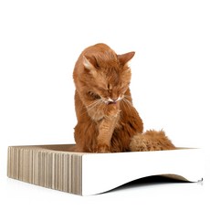 CAT-ON 貓家具刮板 Remoulu 440.009.000x, 隨機發貨, 1個