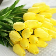 人造鬱金香, 黃色