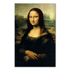 ADICO DIY 繪畫盧浮宮蒙娜麗莎 PFF04 40 x 50 厘米, 混合顏色