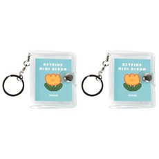 리코즈 迷你相簿鑰匙圈 2入, 透明, 16張