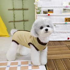 파스텔펫 반려동물 버튼 줄무늬 중성화복, 옐로우, 1개