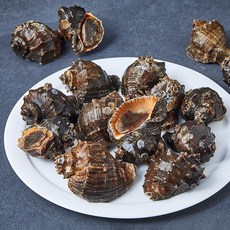 바다림 서해안 산지직송 생물 참소라 (냉장), 1.5kg, 1박스