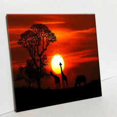 HTP 瓷磚 夕陽上的動物世界 C2964