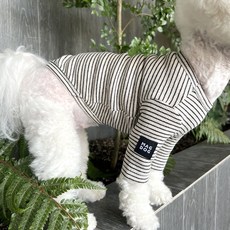 MAGDOG 寵物威利條紋T恤