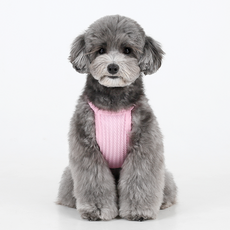 에이미러브즈펫 강아지 챠밍홀터넥, 핑크, 1개